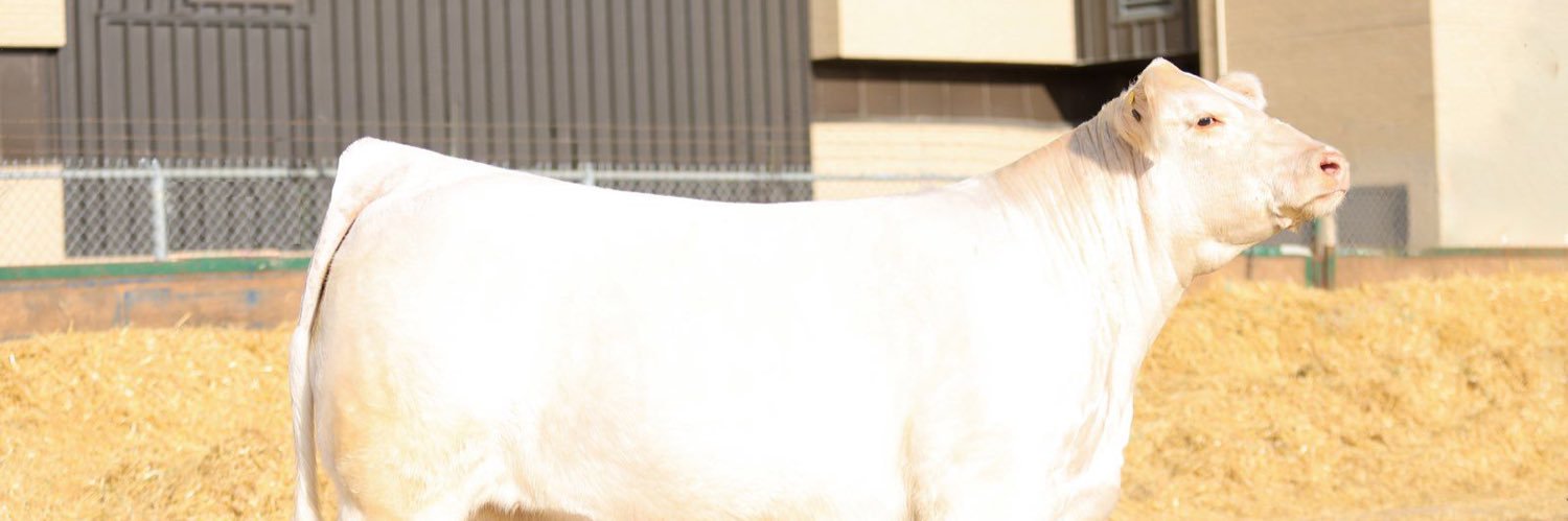 Travis MacPherson banner