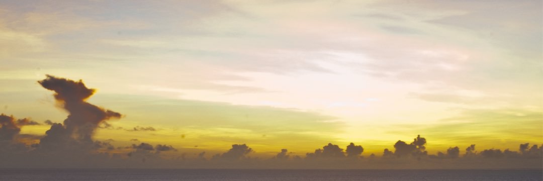 Woe banner