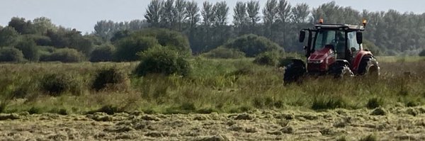 SWT_NE_Reserves Profile Banner