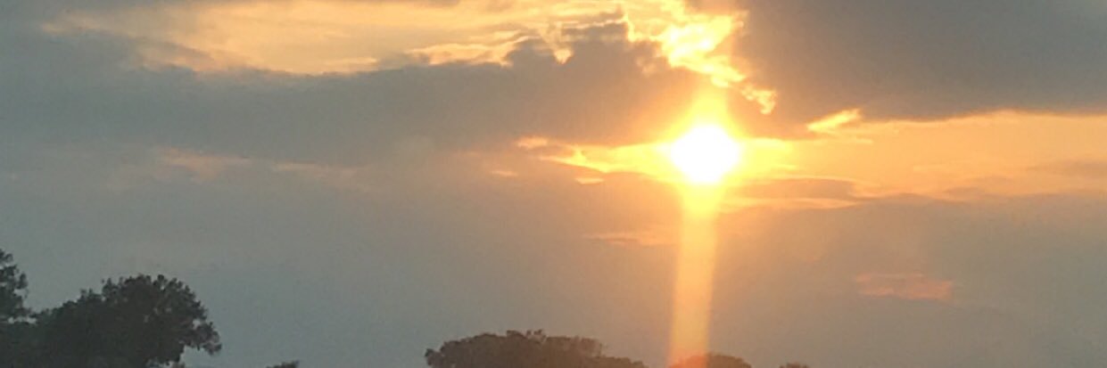 sandyjdunn's profile banner image