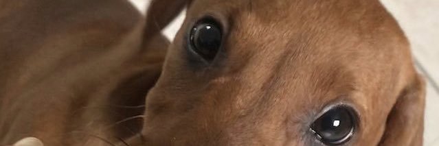 beliii_bel's profile banner image