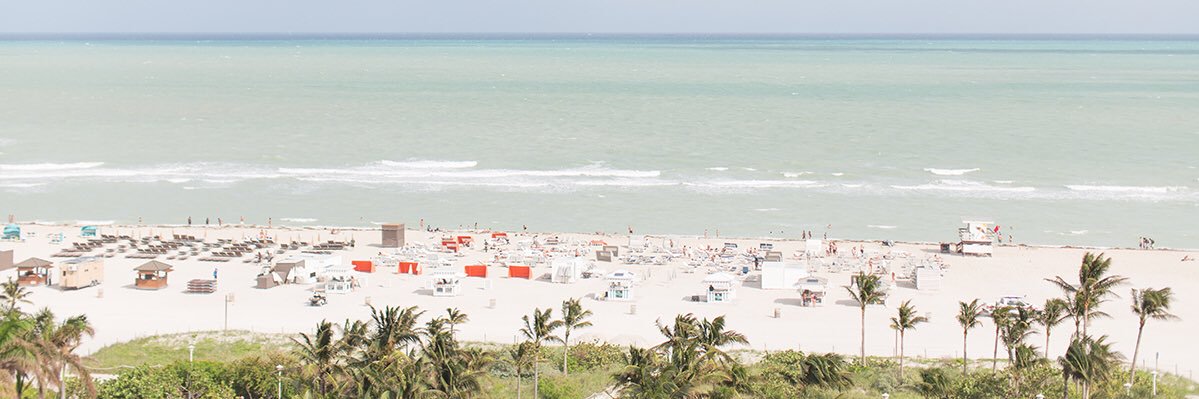 Lauren D. Hill-Bowen banner