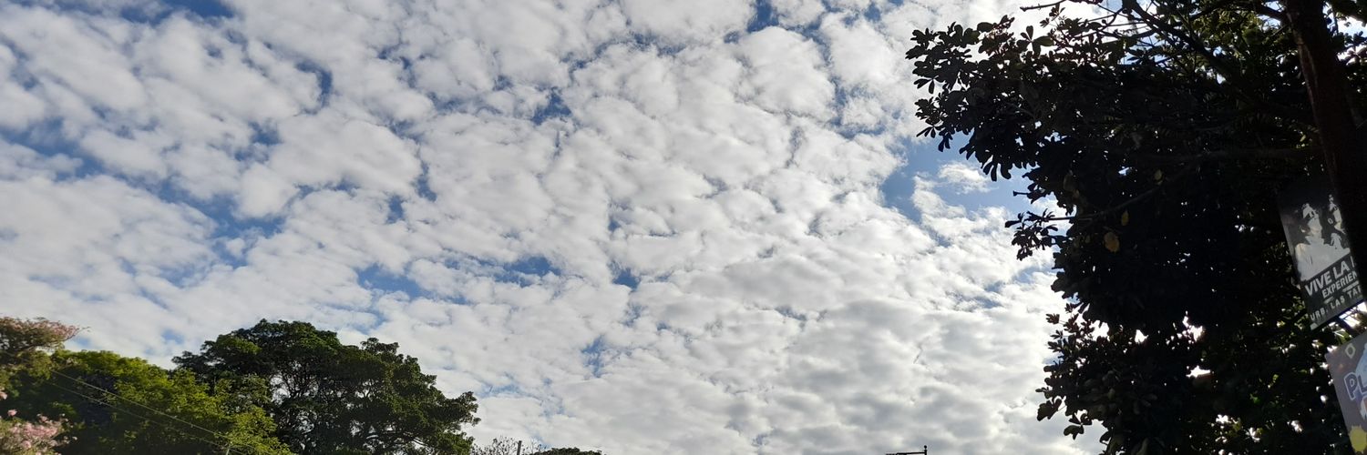 SweetDreaming24's profile banner image