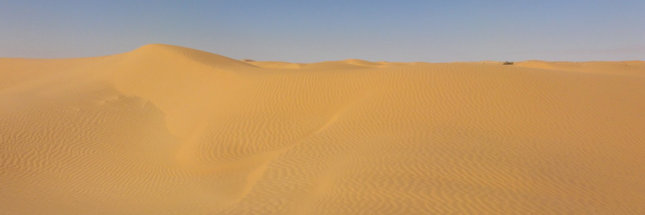 Caroline Neufert banner