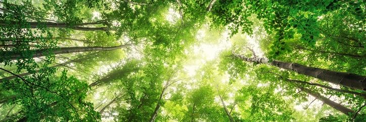 Germán Zarama banner