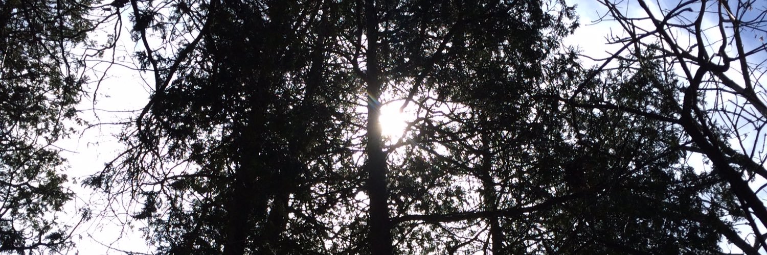 shamaallama's profile banner image