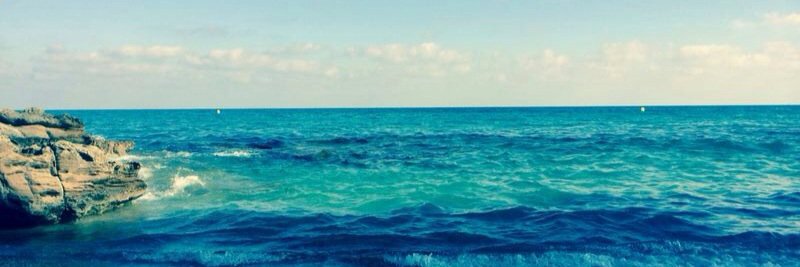 A    R    O    A banner