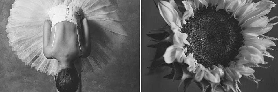 ximenalovatic's profile banner image