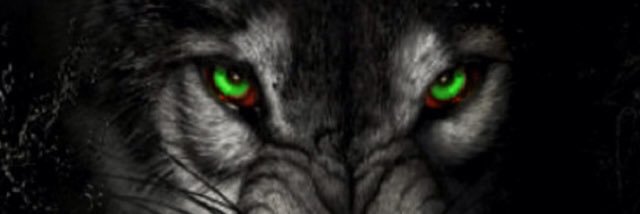 JerryJj14's profile banner image