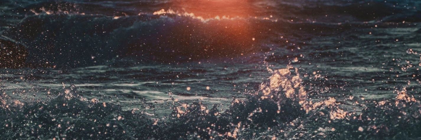 BCort28's profile banner image