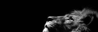 adrianleonl7's profile banner image