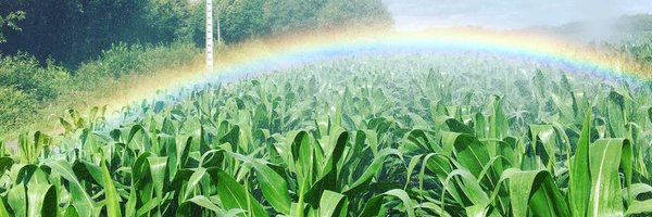 sources_vincent Profile Banner