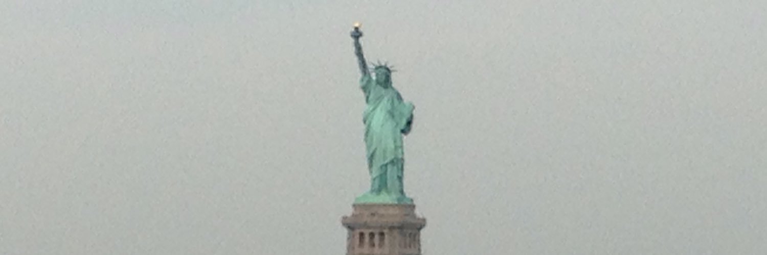ilsesteen's profile banner image