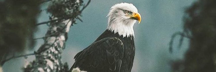 omerdundar1's profile banner image