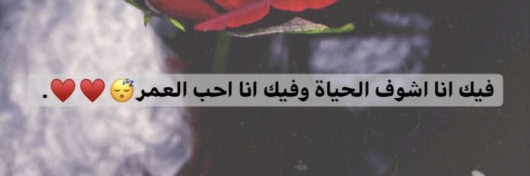 steffo0_19's profile banner image