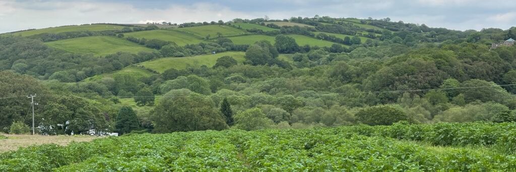 sharedfarmer's profile banner image