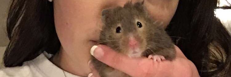 KyleeGeppert's profile banner image