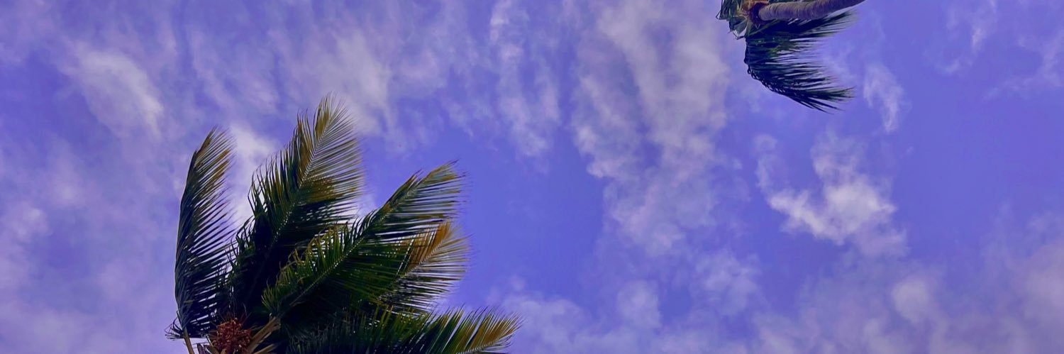 lulacampos5's profile banner image