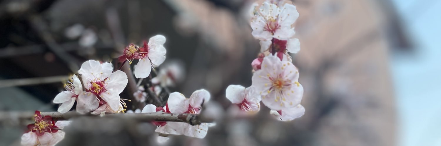 smeji113's profile banner image