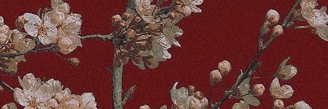 ArchiVillana's profile banner image