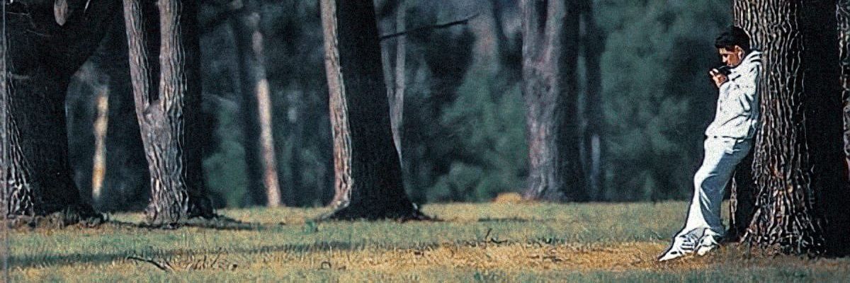 Manuscavuzzo's profile banner image