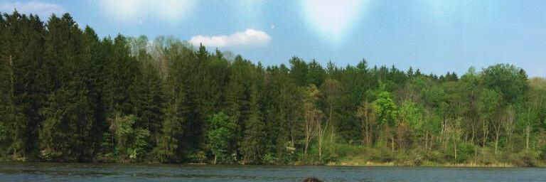 robert190485's profile banner image