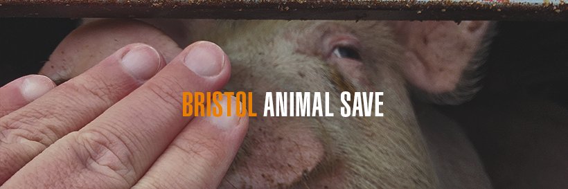 Bristol Animal Save banner