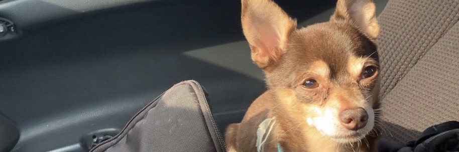 kiannab05's profile banner image