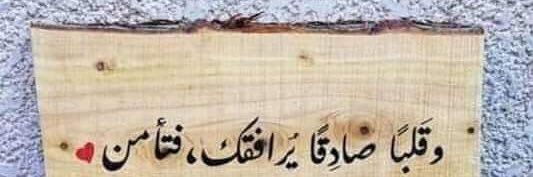 ملكة الهدوء🕊️ banner