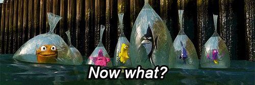 kevin beatson banner