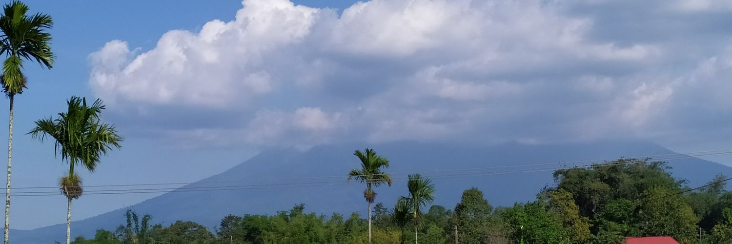 Melisa_AF's profile banner image