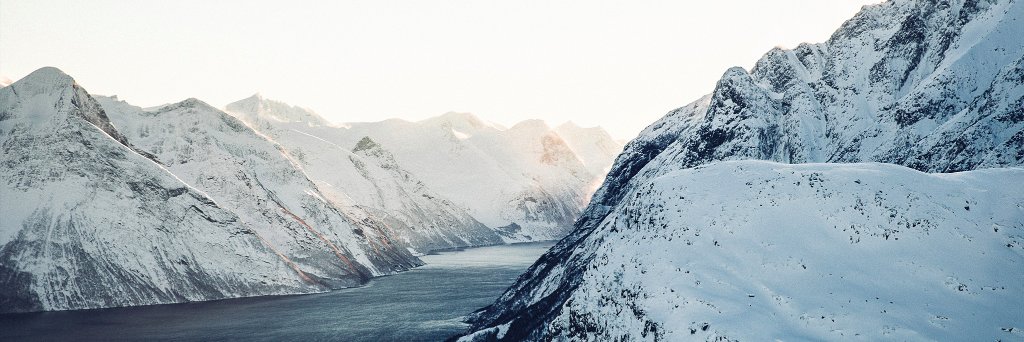 Lucidtech banner