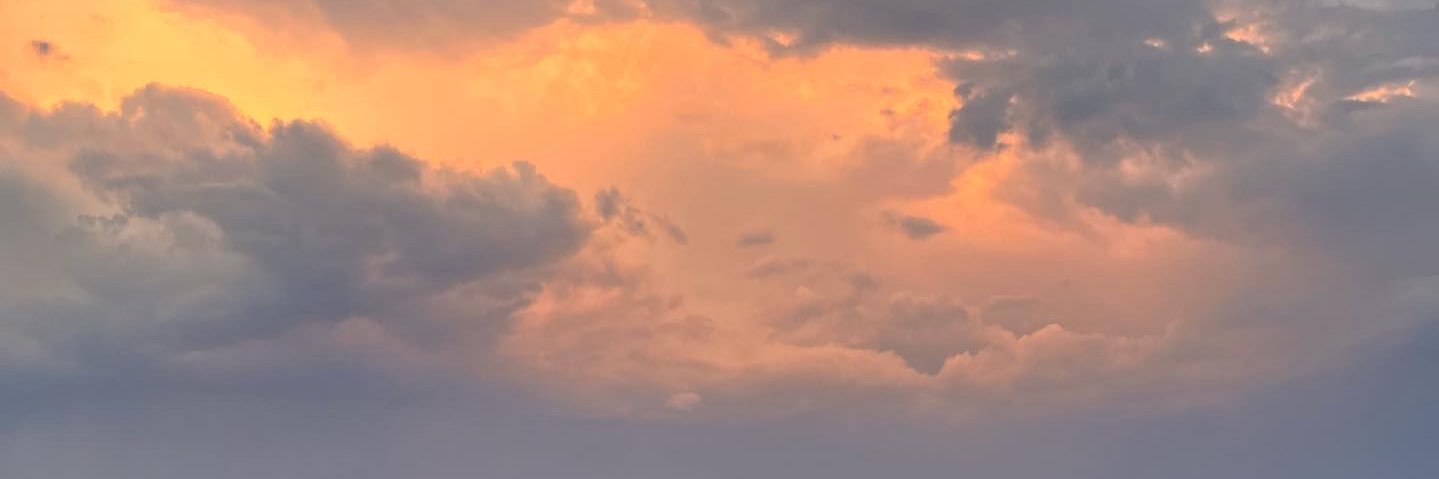 RubyWillby's profile banner image