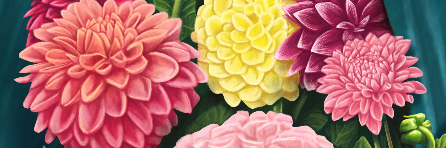 Clarissa Martinez banner