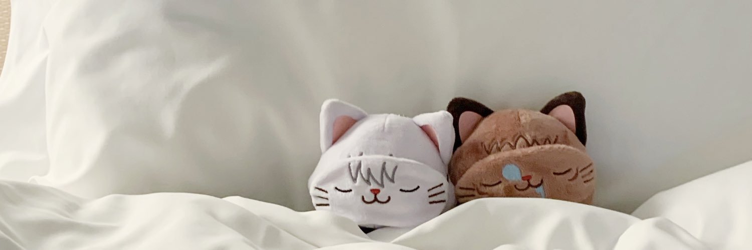 すた😸 banner