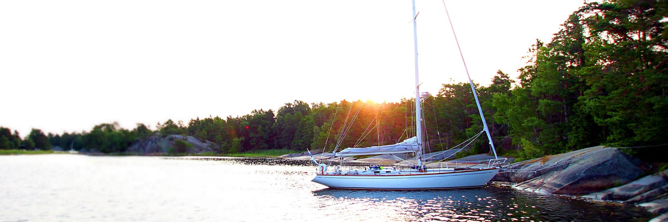 Torsti Tenhunen banner