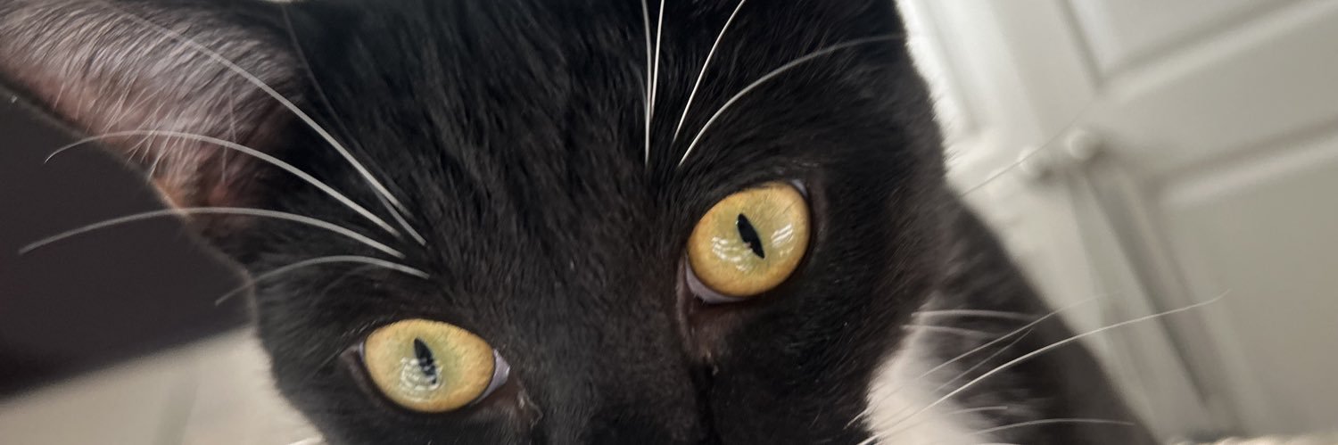 KamFunderburk's profile banner image