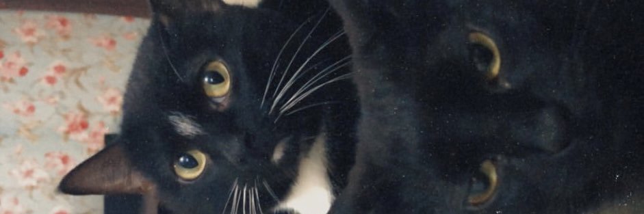 gabrieli_1908's profile banner image