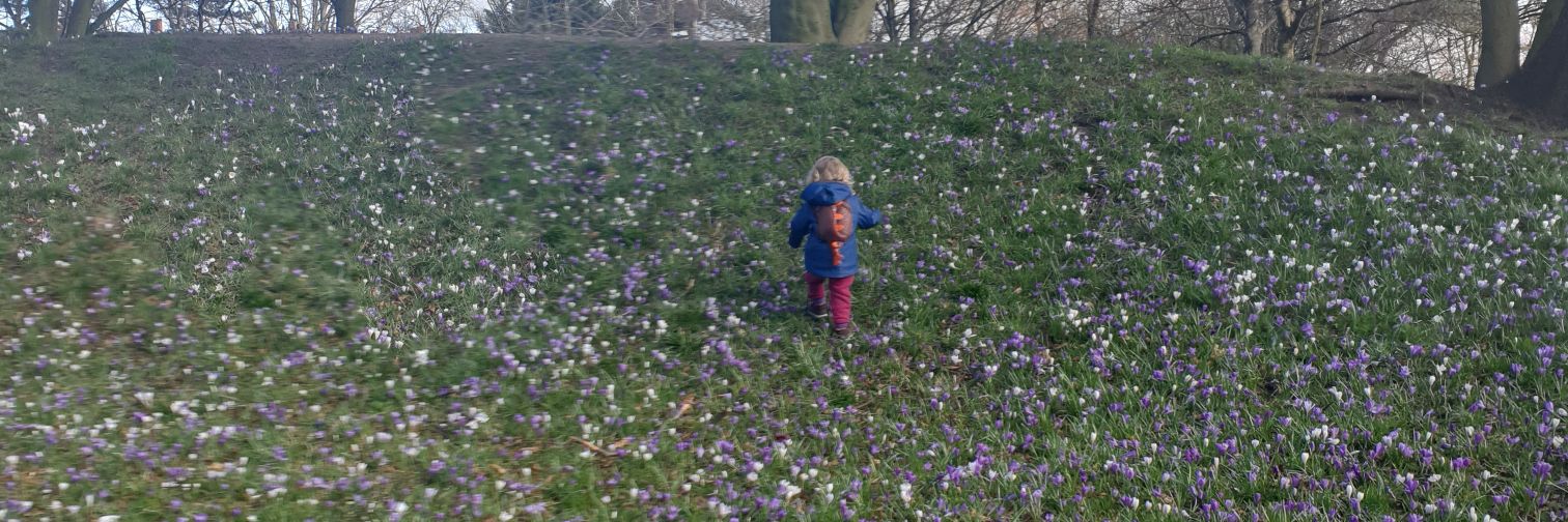 Rhi🌈 (She/They) banner