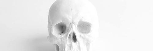 witchellee's profile banner image
