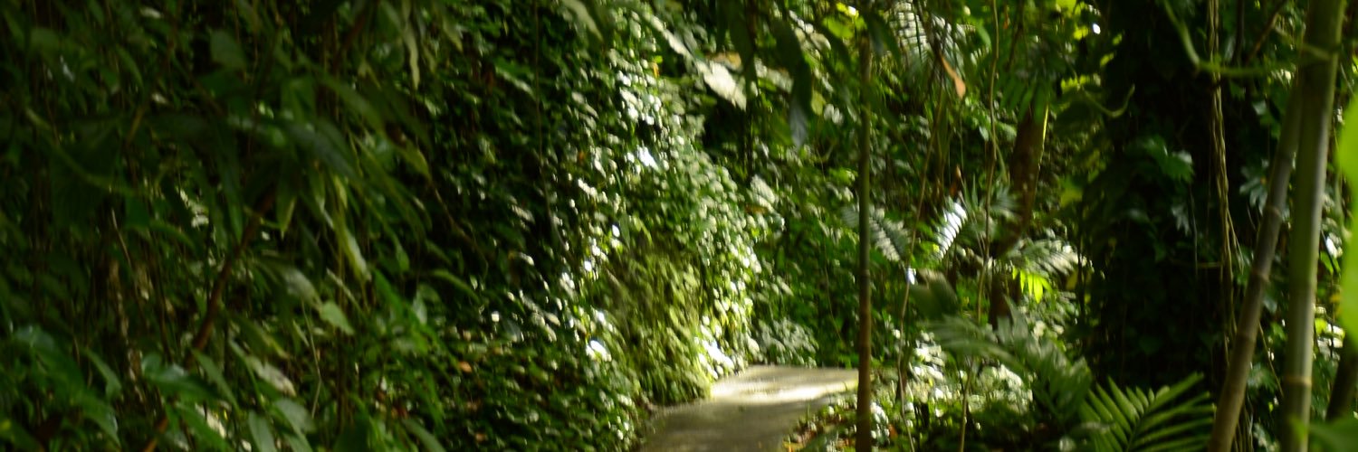 MCopeiro's profile banner image