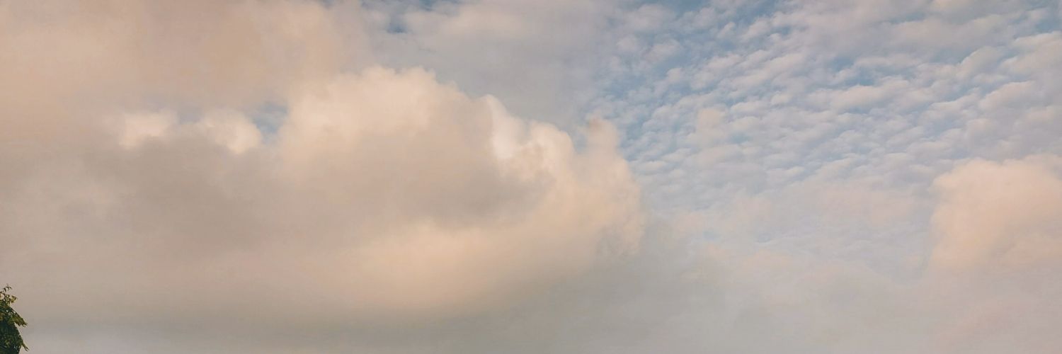 _Trivia_Seesaw's profile banner image