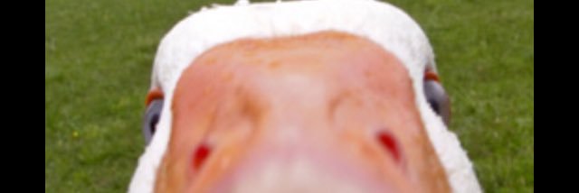Kid_Tottenham's profile banner image