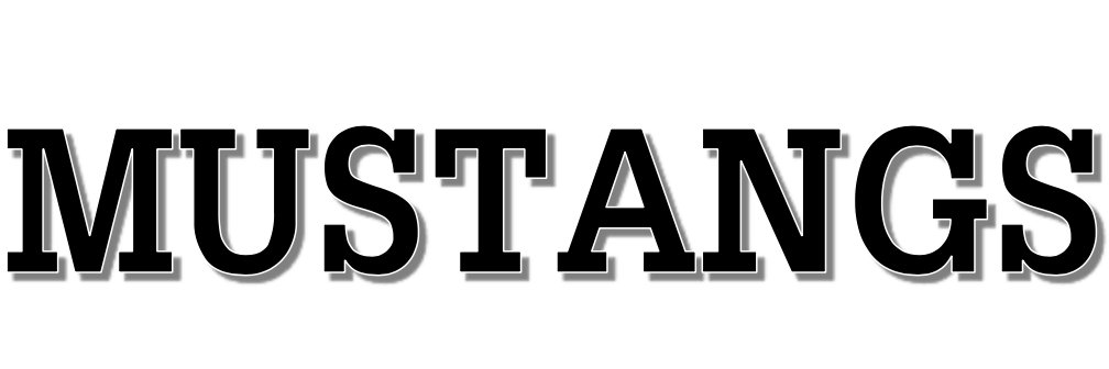 St. Martha CES_TCDSB banner