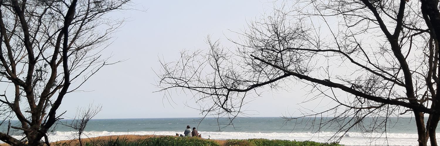 awnxasa's profile banner image
