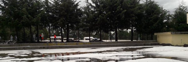 Cecivelasque Profile Banner