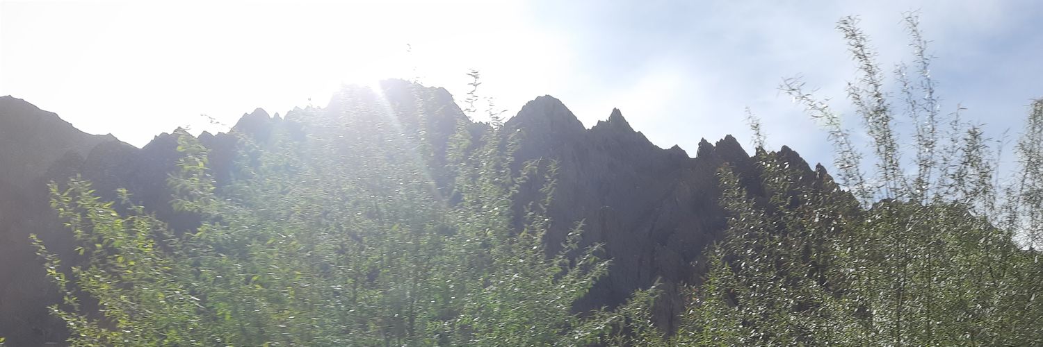 citizen1st's profile banner image