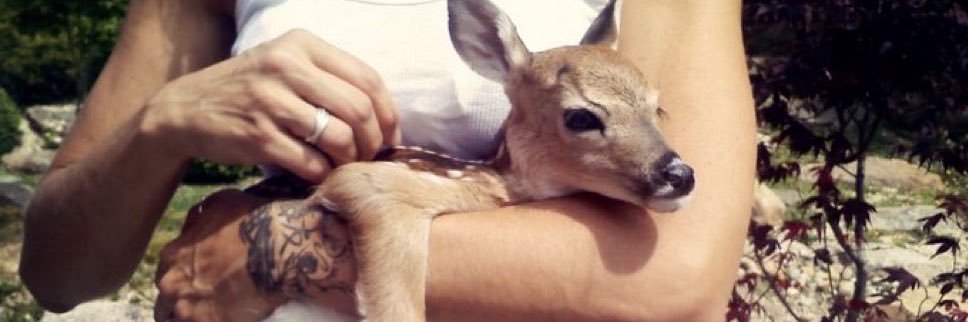mellyburr's profile banner image