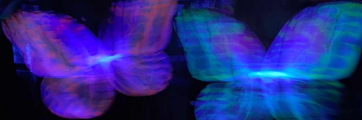 marlarpess's profile banner image