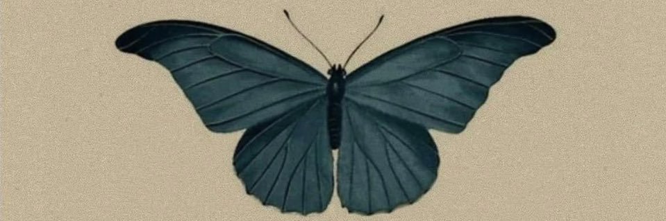 JamieTaylorWood's profile banner image